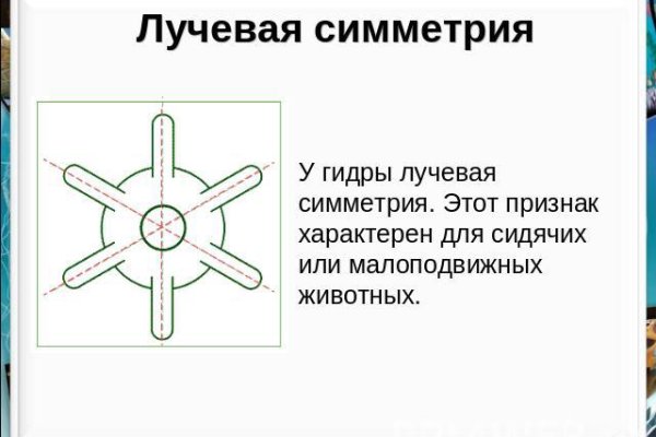 Как попасть на сайт кракен