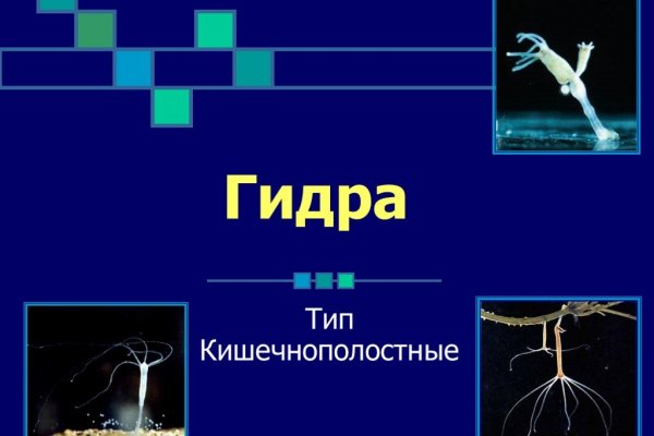 Кракен ссылка на сайт