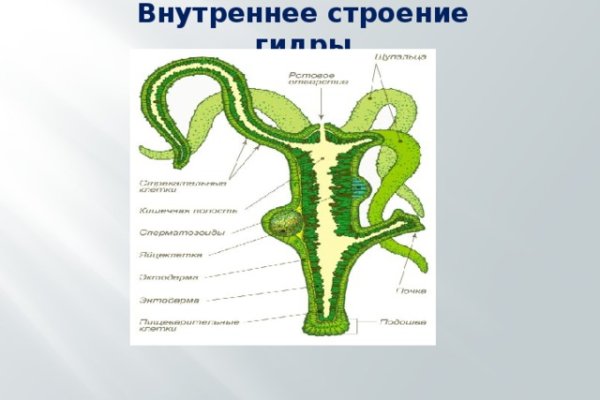 Кракен маркер даркнет